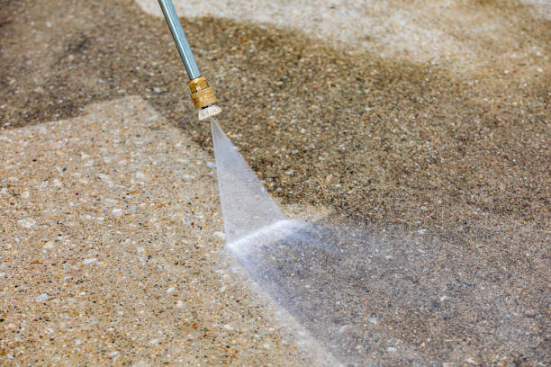 Animal Enclosure Cleaning in Broadview Park, FL